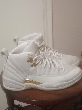 Nike Air Jordan 12 Retro Phantom FD9101-007 Women’s 9.5 | Men’s 8